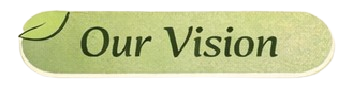 Our Vision